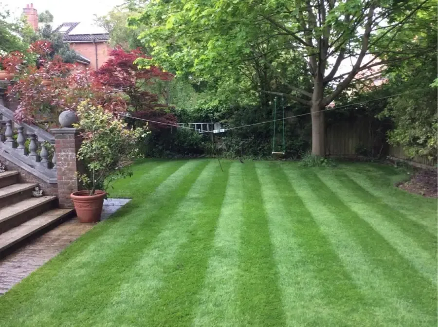 The garden at The Old Rectory